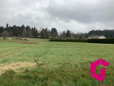 Terrain - 21 360 m²