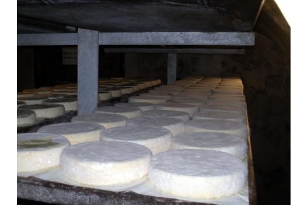 Visite et dégustation- Ferme de Noël Versant du Soleil