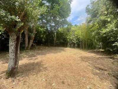 Maison - 68 m² - 5 pièces