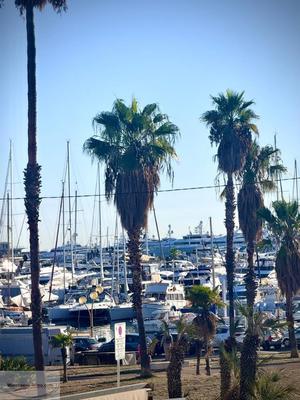 Appartement - 114 m² - 5 pièces