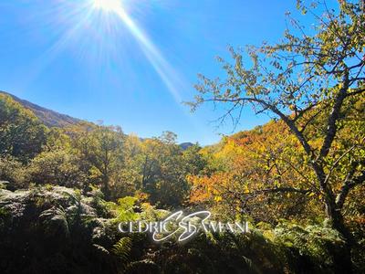 Terrain constructible - 1 729 m²