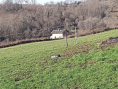 Corps de ferme - 110 m² - 8 pièces