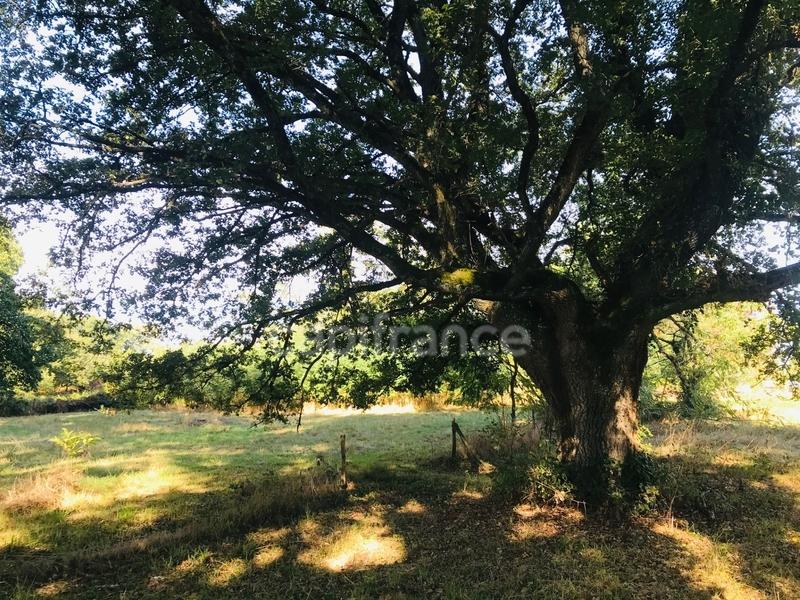 Terrain constructible - 9 346 m²