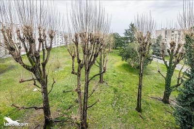 Chambre - 21 m² - 1 pièce