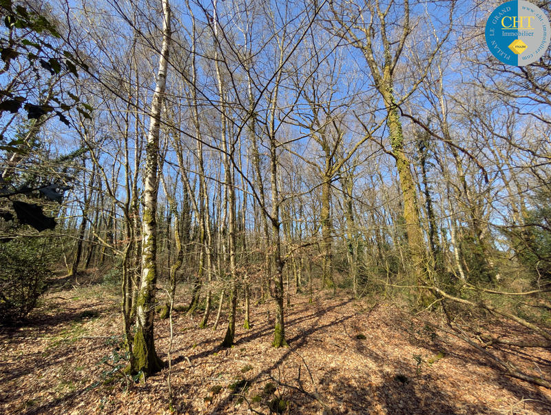 Terrain - 24 900 m²