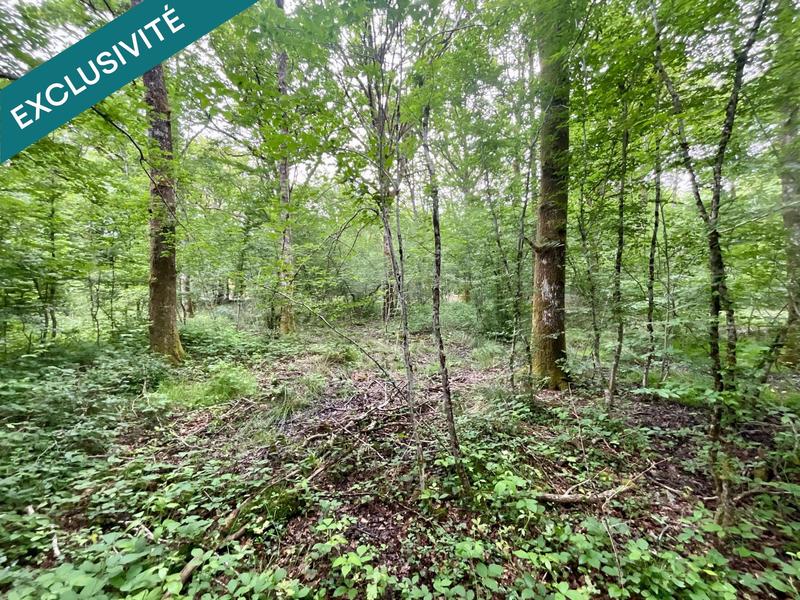 Terrain - 14 771 m²