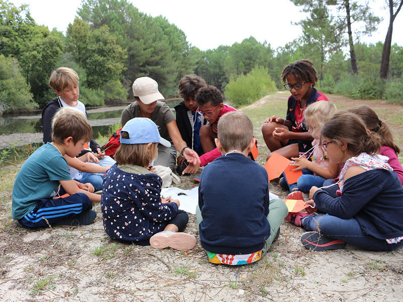 Les petites bêtes de l'eau
