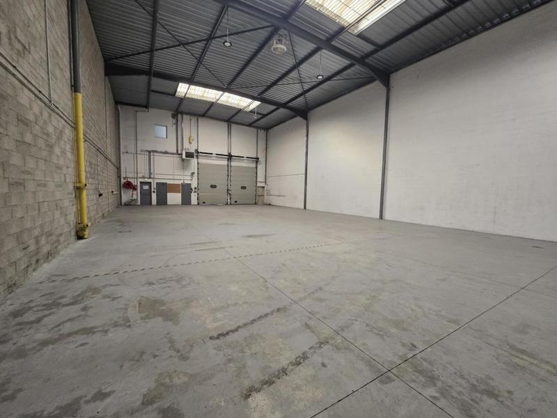 Local d'activités - 559 m²