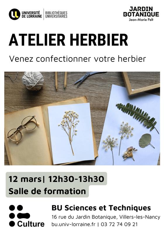 Atelier - Créez votre herbier !