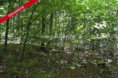 Terrain agricole - 8 130 m²