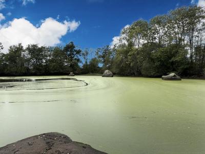 Terrain de loisirs - 8 220 m²