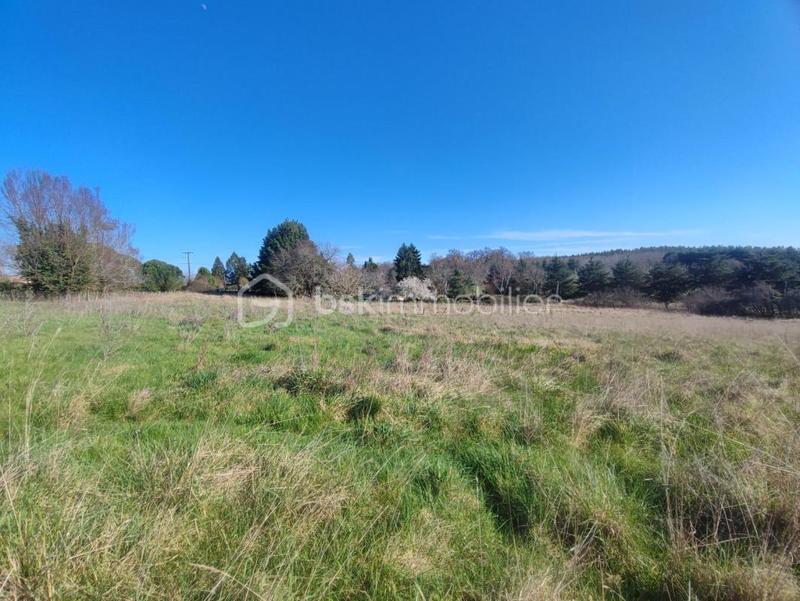 Propriété - 77 m² - 4 pièces