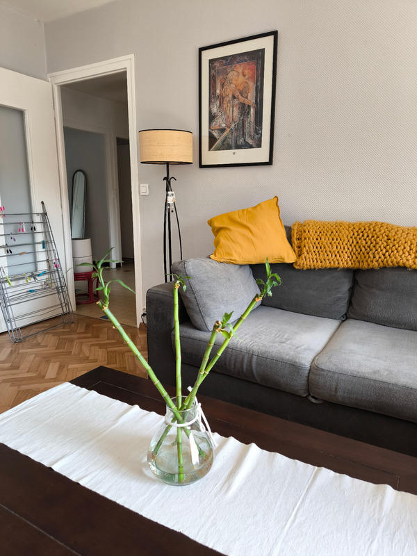 Appartement - 56 m² - 3 pièces