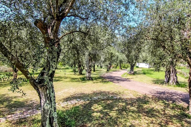 Maison - 260 m² - 11 pièces