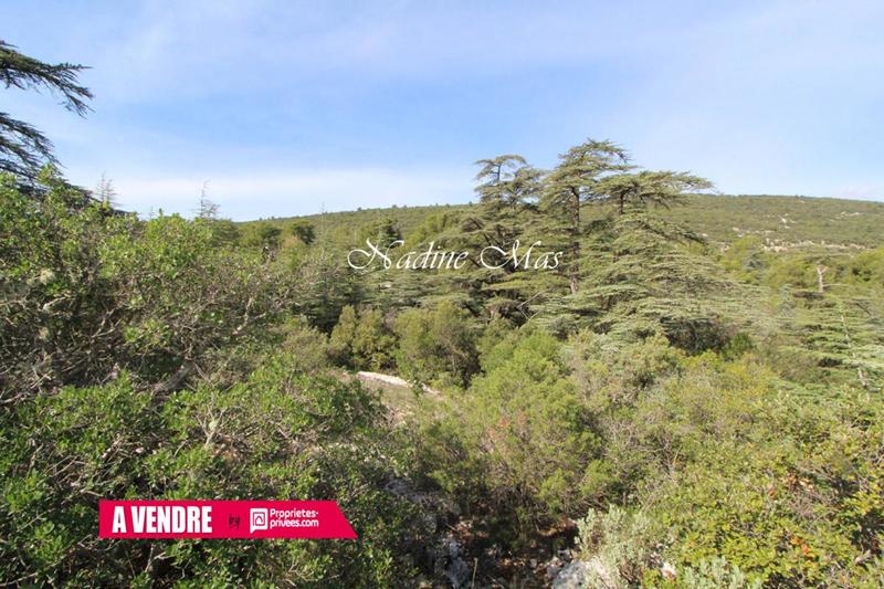 Terrain constructible - 1 650 m²