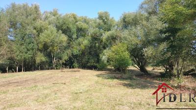 Moulin - 148 m² - 5 pièces