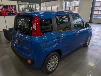 Fiat Panda 1.0 70 ch Hybrid Bsg s/S City