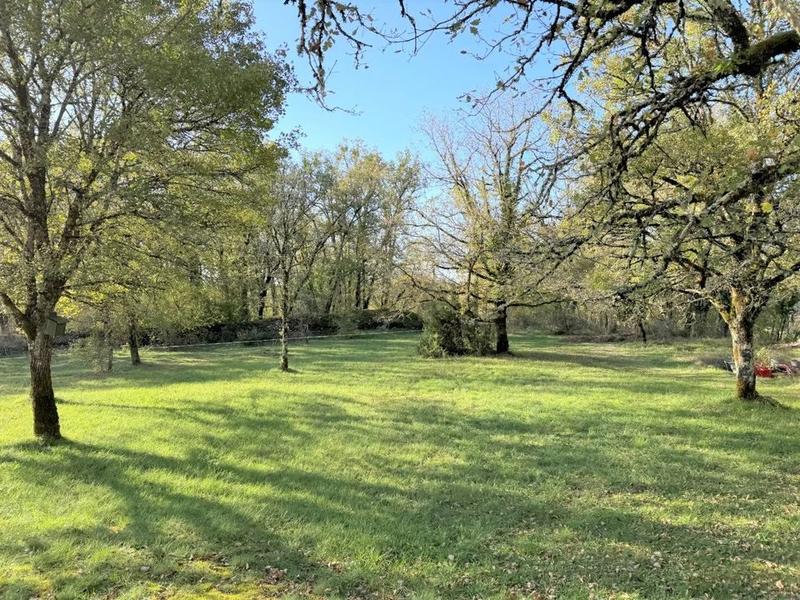 Propriété - 204 m² - 9 pièces