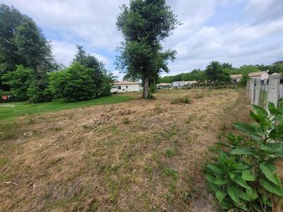 Terrain constructible - 1 244 m²