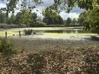 Propriété - 597 m² - 8 pièces