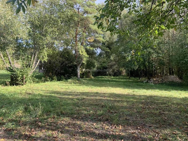 Terrain - 16 926 m²