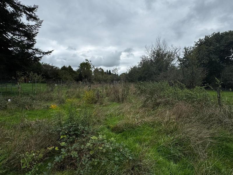 Maison - 58 m² - 3 pièces