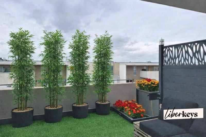 Appartement - 57 m² - 3 pièces