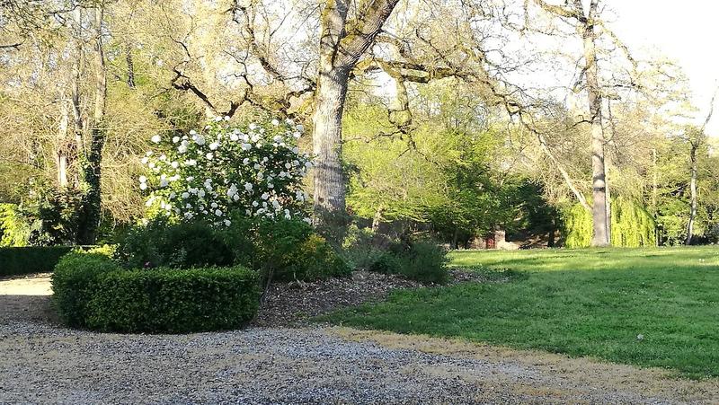 Château - 448 m² - 12 pièces