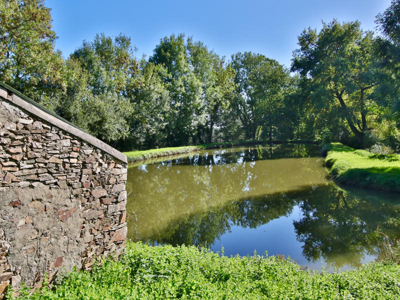 Maison - 195 m² - 7 pièces