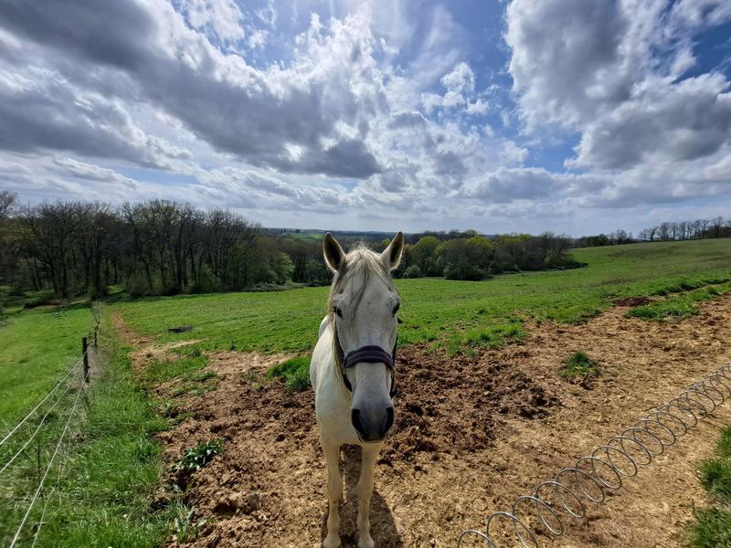 Maison - 246 m² - 6 pièces