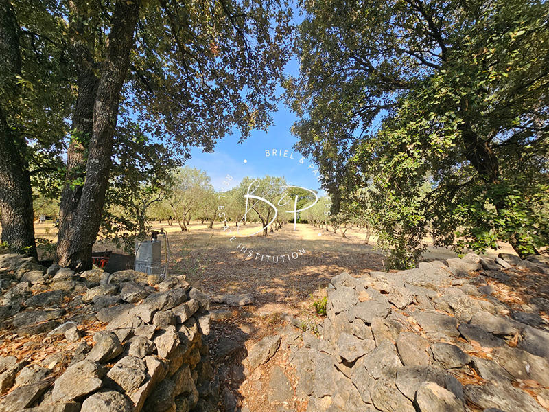 Maison - 32 m² - 2 pièces