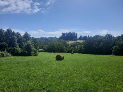 Terrain - 7 430 m²