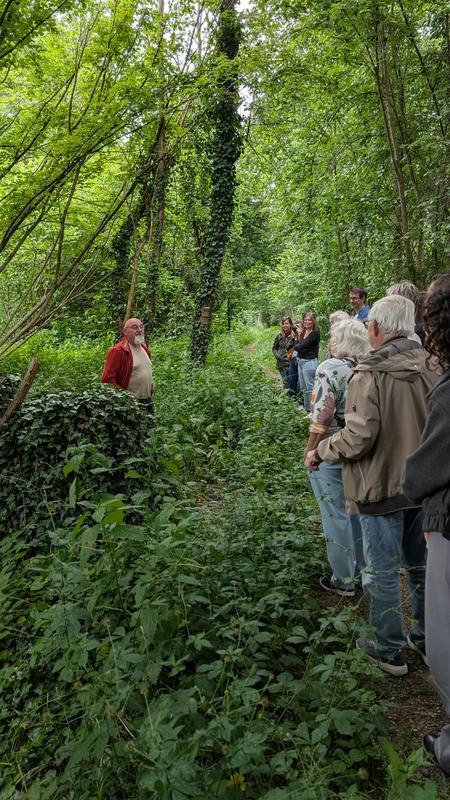 Découverte de la forêt rhénane