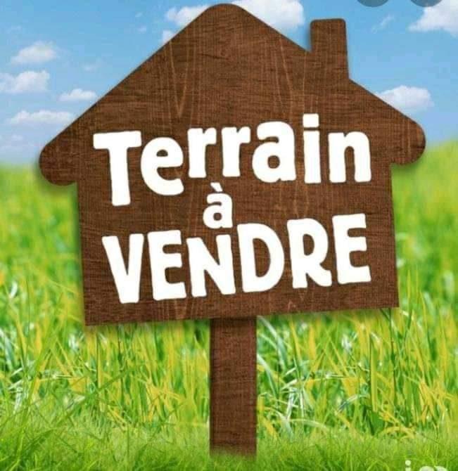 Terrain - 395 m²