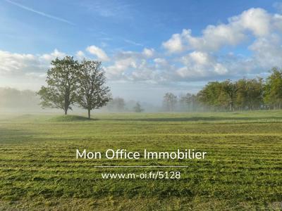 Château - 1 225 m² - 36 pièces