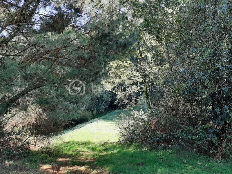 Terrain de loisirs - 9 275 m²