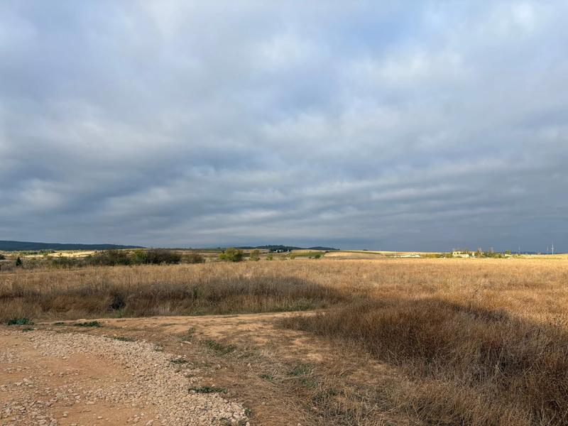 Remise - 162 m² - 1 pièce