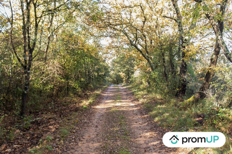 Terrain agricole - 9 625 m²