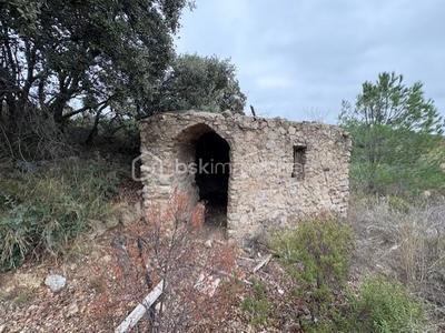 Terrain agricole - 10 160 m²