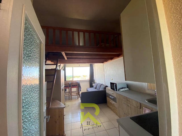 Appartement - 35 m² - 1 pièce