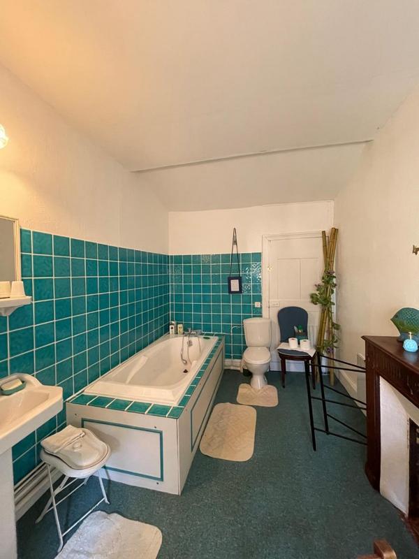 Château - 870 m² - 43 pièces