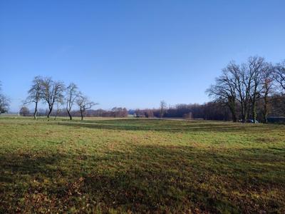 Terrain - 10 125 m²