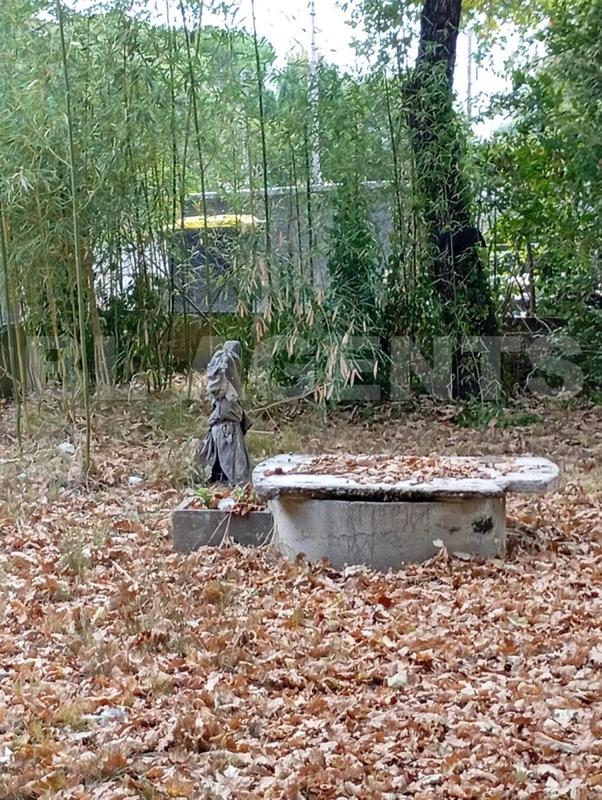 Châlet - 44 m² - 2 pièces