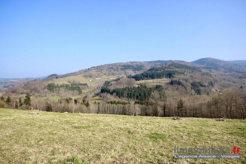 Terrain - 1 639 m²