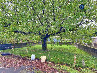 Maison - 170 m² - 4 pièces