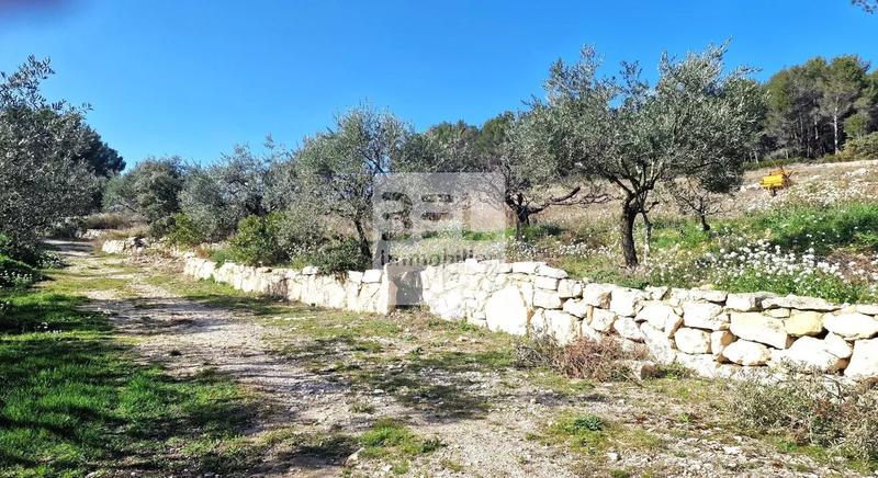 Ferme - 250 m² - 13 pièces