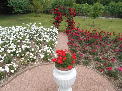 Maison - 333 m² - 9 pièces