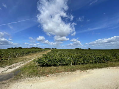 Propriété - 240 m² - 7 pièces