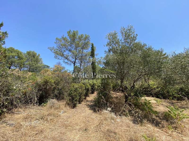 Maison - 165 m² - 6 pièces