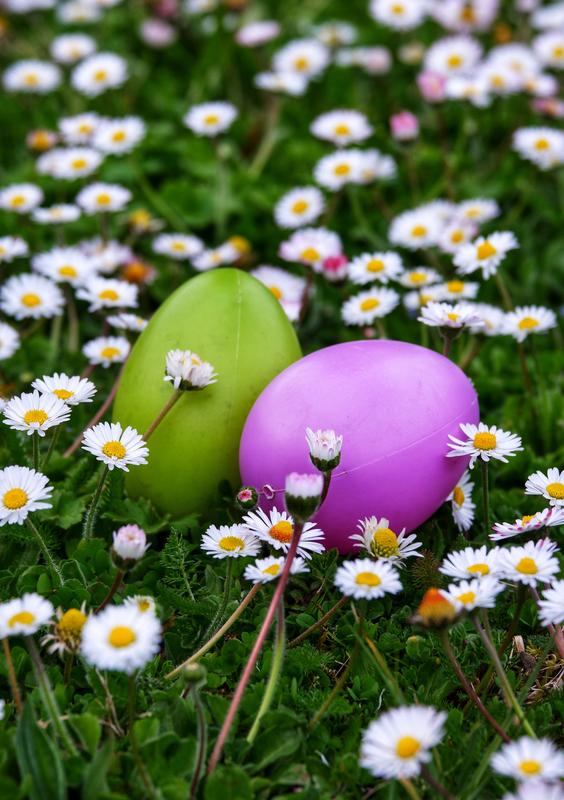 Grande chasse aux œufs de Pâques au Domaine de Poulaines